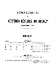 20 vues  - bud_1867 Budget de la Ville de Genève pour l\'année 1867 (ouvre la visionneuse)