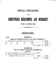 20 vues  - bud_1863 Budget de la Ville de Genève pour l\'année 1863 (ouvre la visionneuse)